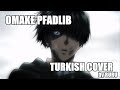「Omake Pfadlib」Attack on Titan OST - Türkçe Cover - Ruru【るる】