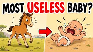 Why Human Babies Are So Useless