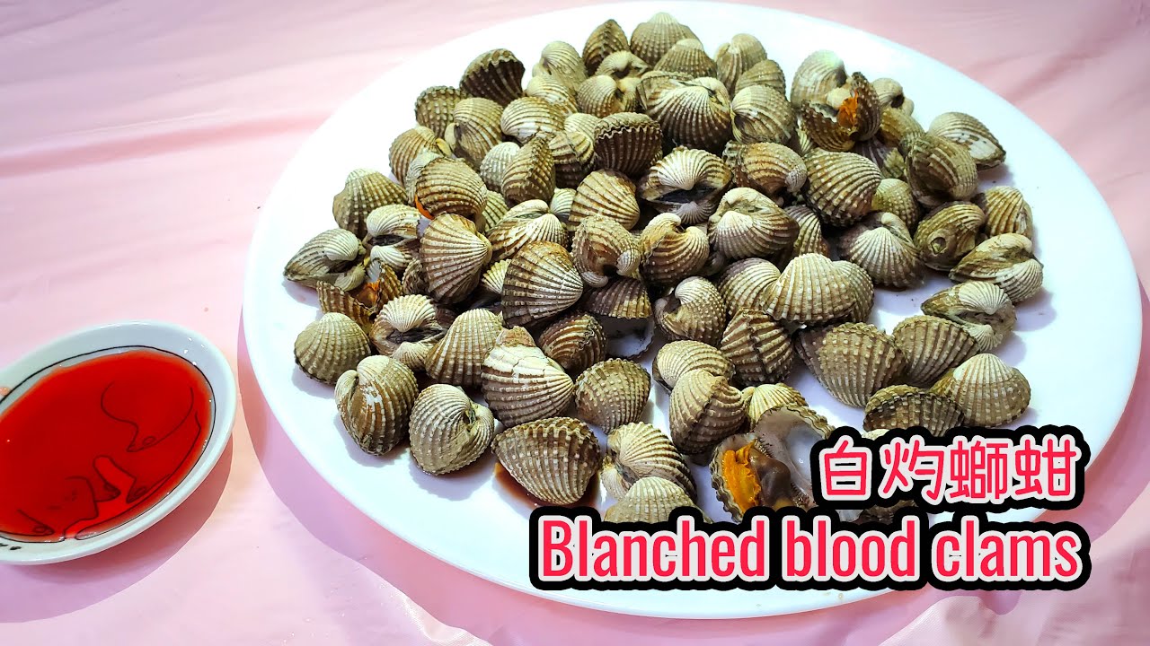 白灼螄蚶 || 螄蚶煮法 || 鰤魽配大紅浙醋 || 白灼血蚶 || 血蚶 || 如何處理螄蚶 || How to cook blood ...