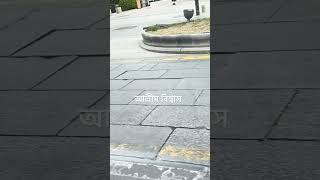চায়নাতে রাস্তা, জিনান শহর ll Road in Jinan, China || Alim Biswas ll Bangla vlog