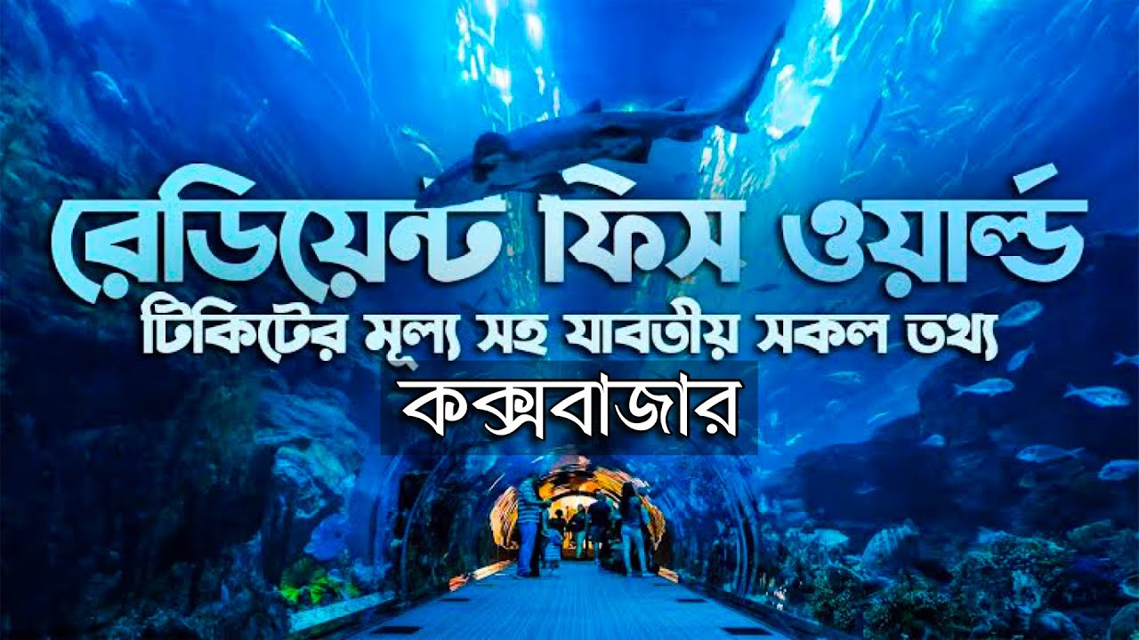 Radiant Fish World подарит вам ощущение путешествия по морским глубинам || Radiant Fish World || ...