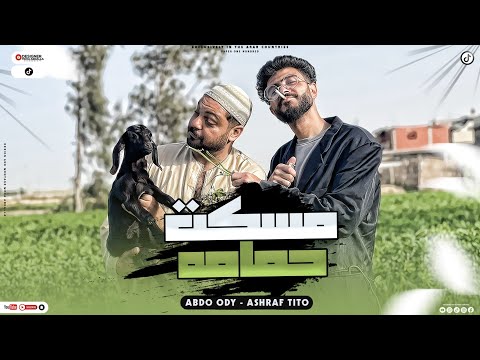 كليب مسكت حمامه 2023 عبده اودى اشرف تيتو عمار السادات   