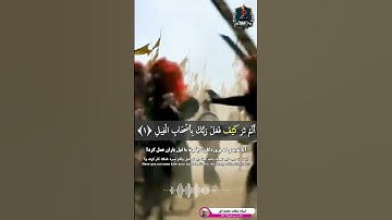 تلاوت کوتاه و فوق العاده زیبا سوره فیل آیات ۱ الی ۲ از استاد شحات محمد انور
