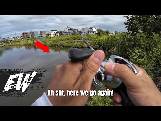 BIGLANG SUMIRIT YUNG BAITCAST! MULTI-SPECIES FISHING  | Y4E50 class=