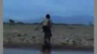 video010.3gp