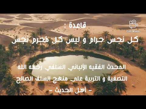 الإمام الألباني السلفي رحمه الله قاعدة كل نجس حرام و ليس كل محرم نجس