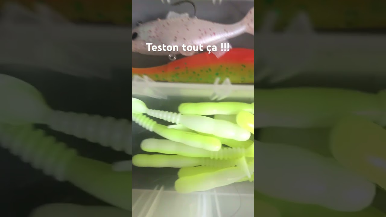 Nouveau leurre rockvibe,easyshiner,ect…😎😎