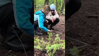 Western Immersion Program: Watershed Connections