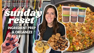 Sunday Reset Ingredientmeal Prep, Organize Staying On Track Bagels, Fried Rice, Pancake Bites