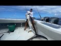 Massive Swordfish *HAND CRANK 2000’ deep* {Catch Clean Cook} Ft. StanzFam