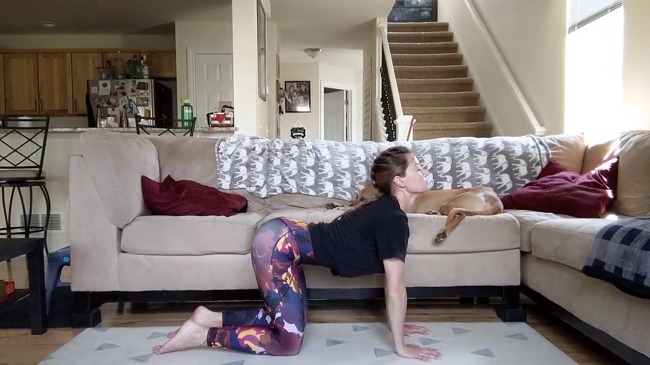 11+ Cow Cat Pose Tutorial 11+ Cow Cat Pose Tutorial