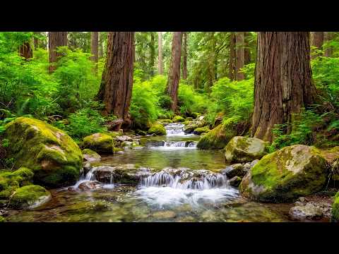 Healing Music for Stress, Anxiety, and Depression 🌿 Inner Peace with Soft Melodies