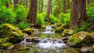 Healing Music for Stress, Anxiety, and Depression 🌿 Inner Peace with Soft Melodies screenshot 4