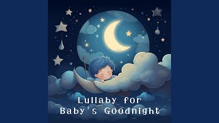 Sweet Nightfall Harmony