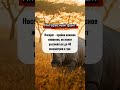 #факт #хочуфакты #фактыкаждыйдень #факты