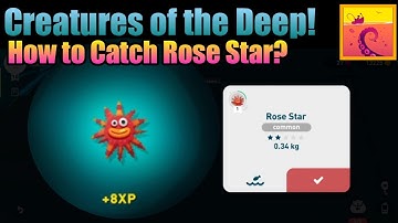 Rose Star Creatures of the Deep - How to Catch⁉️ Alaska Creatures Location❗
