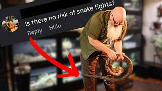 Responding to the Comment Sections: Answering Questions & Battling some Comments.