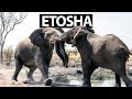 Namibia’s Private Safari Experience You’ve Never Heard Of