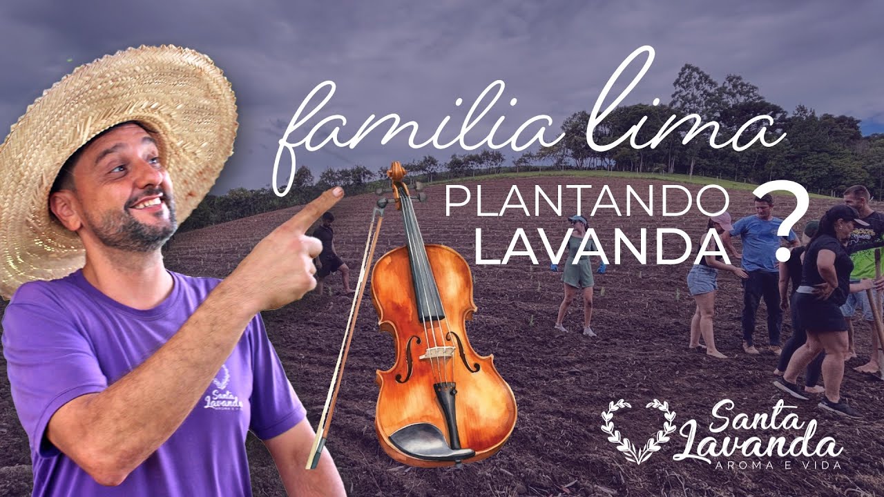 NÃO É VIOLINO, É LAVANDA! O show da Família Lima plantando lavanda. (História Real)