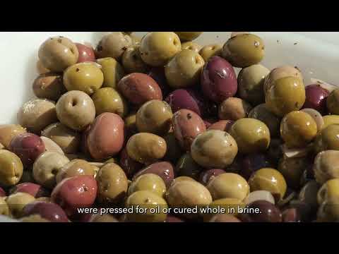 Mediterranean Marketplaces-Harvest Seasons