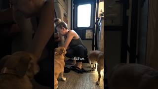 packing up the RV on a travel day! #rvlife #travelcouple #rvwithdogs #winnebago #behindthescenes