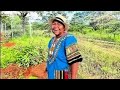 Returning Diaspora Zimbabwe Homestead Life Tree Growing Journey