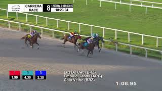 Vidéo de la course PMU TRAMP (2017)