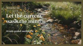 10-Min Guided Meditation - The flow of Stillness