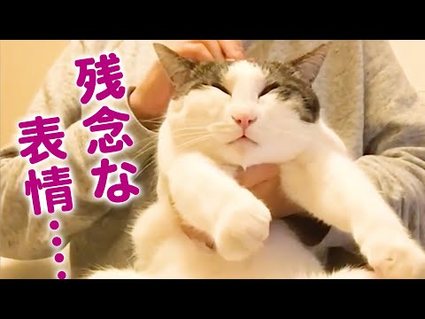 あなた誰…!? うちの子の「残念すぎる」瞬間