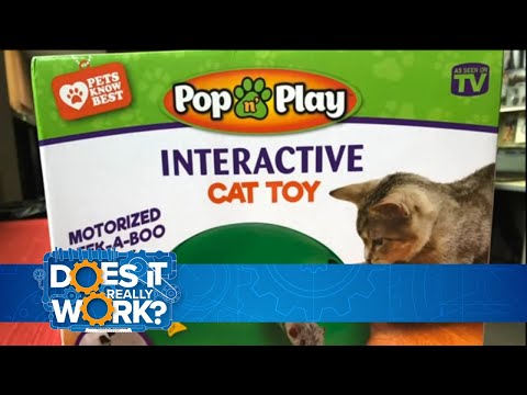 does-it-really-work:-pop-n-play-cat-toy
