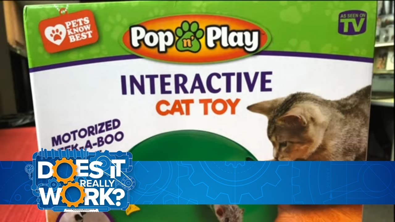 Does It Really Work Pop N Play Cat Toy