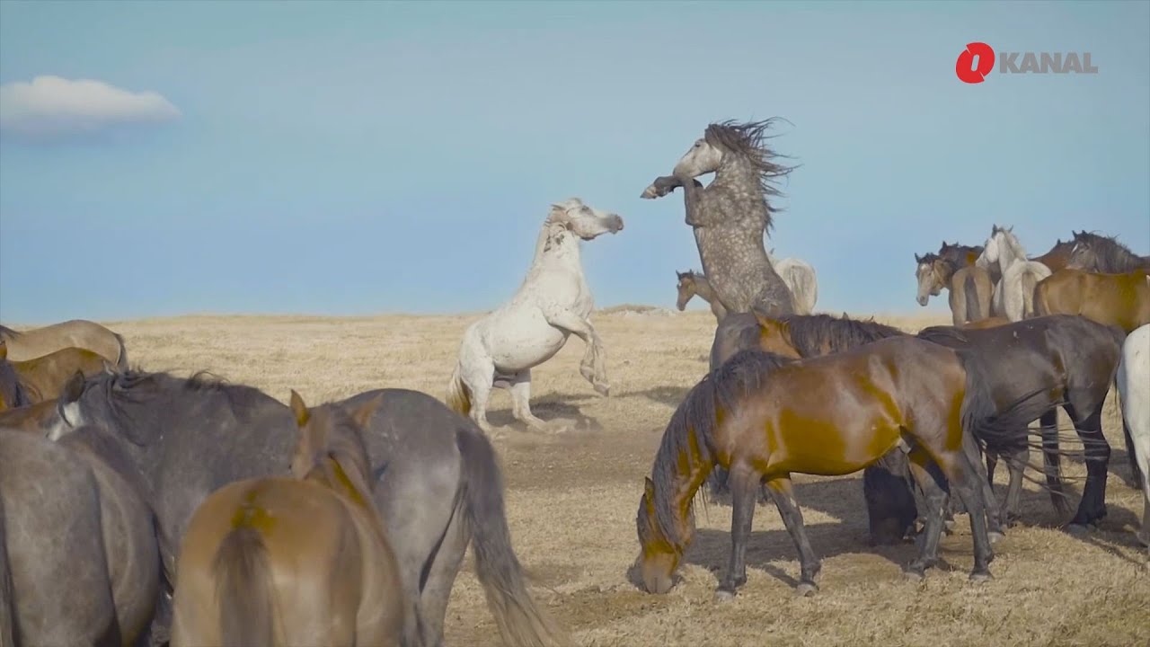 Tour de BiH: Najosunčaniji grad u Bosni i Hercegovini - Livno