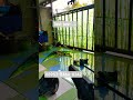 test dulu sebelum dikirim #2025 #airsoft #mainan