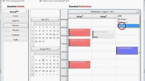 Exontrol ExSchedule OLE Drag and Drop
