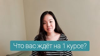 ЧТО ВАС ЖДЕТ НА 1 КУРСЕ? ВСЕ УНИВЕРЫ + МЕДИЦИНСКИЙ