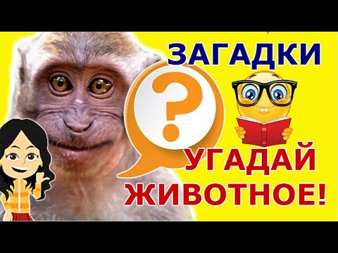 Детские Загадки Про Диких Животных. Угадай Животное