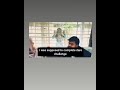 Demanded to complete yes challenge #funny