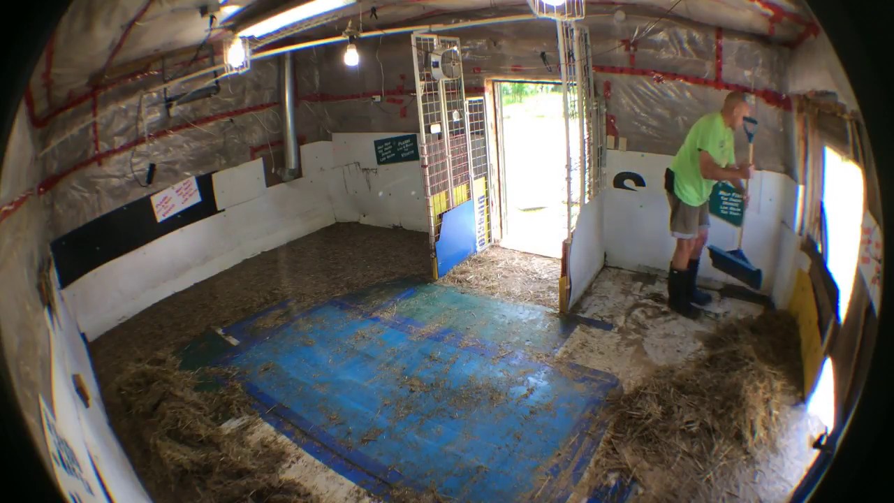 cruelty free dog food at petsmart Barn cleaning