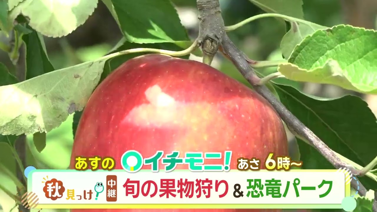 イチモニ 今日 の 占い