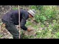 យកឃ្មុំ