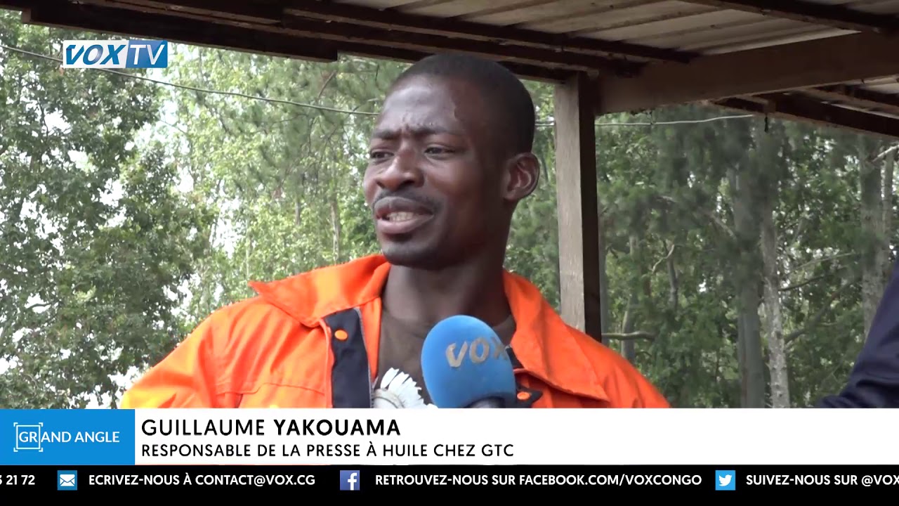 Exploitation de palmiers à huile en zone de savane à Igné