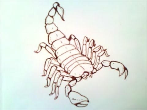 Video: Come Accontentare Uno Scorpione