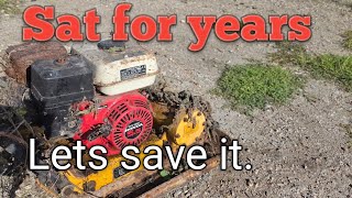 Honda Vibrator waker plate. Been in the weeds for 3 years.