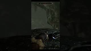 When they tell you to stop and call you a thief. #videogames #skyrim