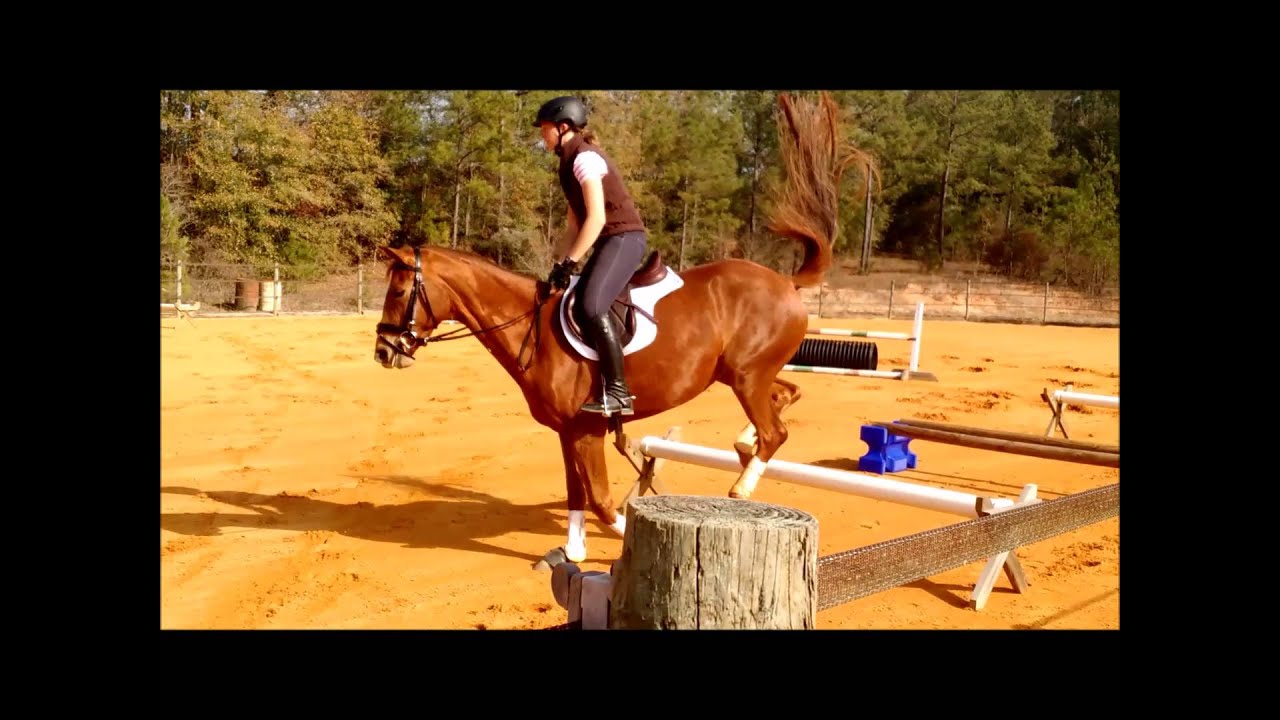 Regalia HVF february 1, 2016 jump