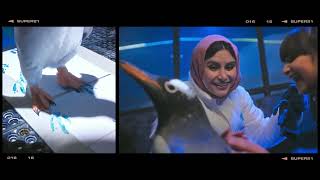 Snow Oman - Ultimate Penguin Experience