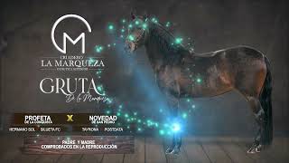 Gruta De La Marqueza