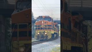 P W WOGR crawls around the curve in Worcester with rare P W 4007 leading