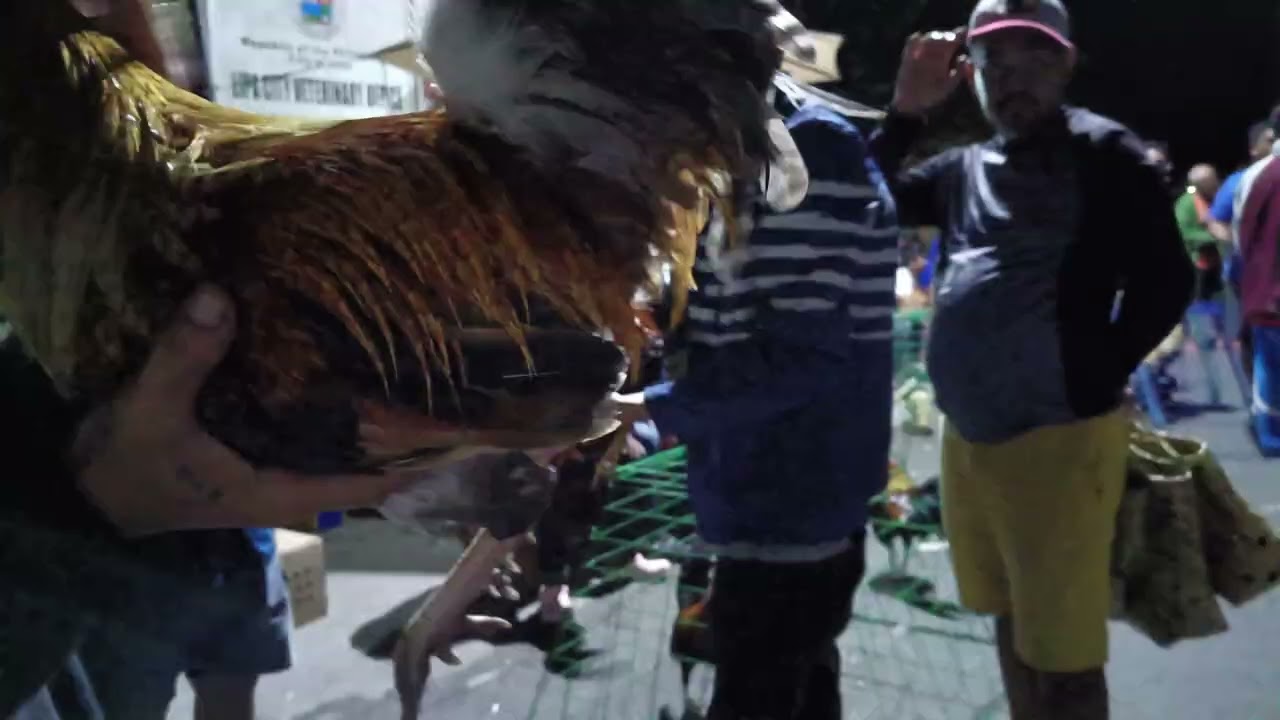 Bentahan ng manok sa SM Lipa Sabado Feb 14, 2026