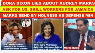 DORA DIXIN LIES ABOUT AUDREY MARKS TALK ON SKILL WOKERS, HOLNESS SEND MARKS AAS DEENSE MINISTER